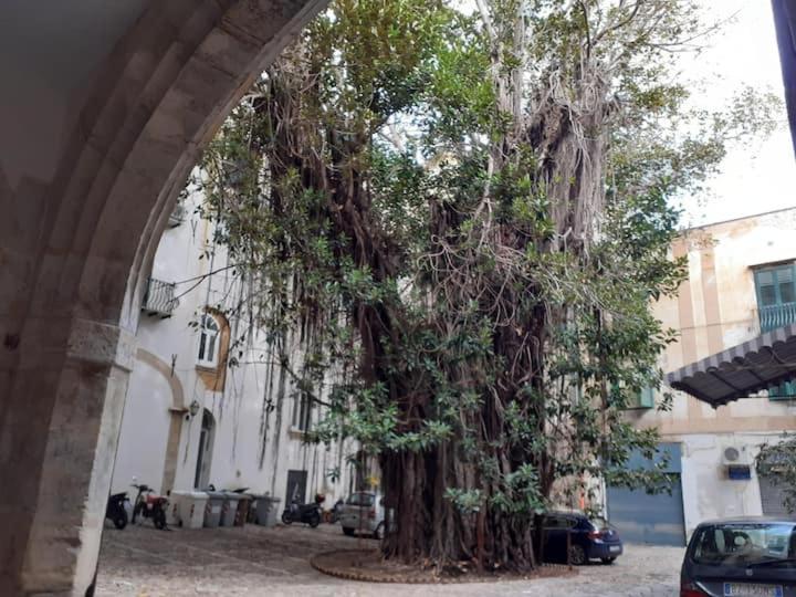 فيلا باليرموفي Mela Verde المظهر الخارجي الصورة